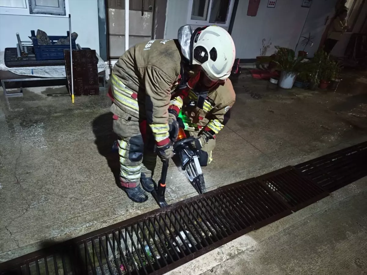 İskenderun\'da Mahsur Kedi ve Yavru Kurtarıldı