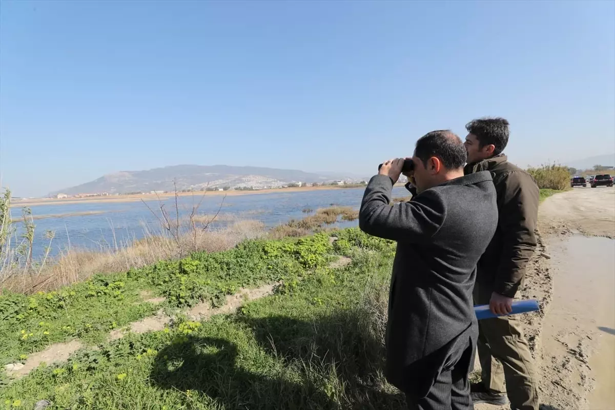 Milleyha Sulak Alanı Koruma İncelemesi