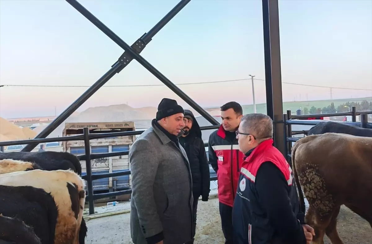 Havsa Canlı Hayvan Pazarı Denetlendi