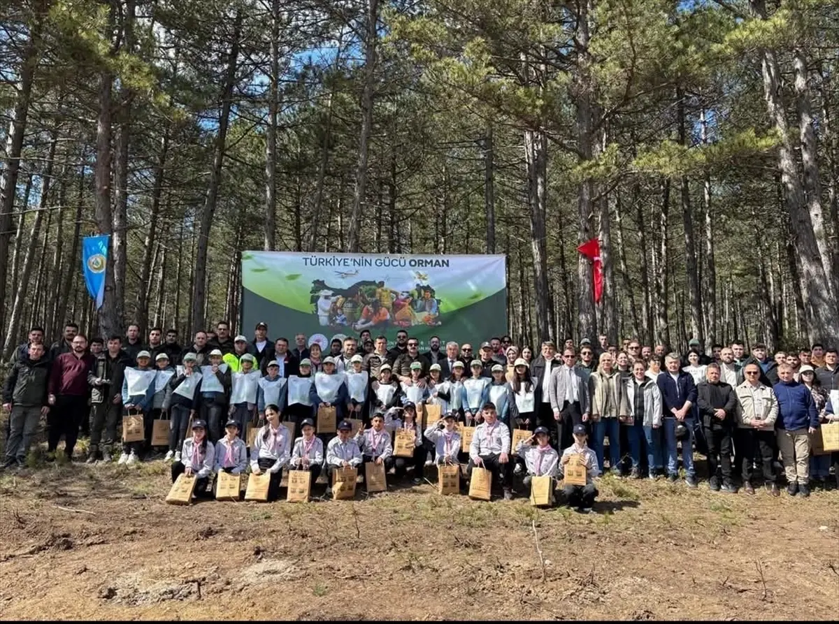 İhsangazi\'de Ormancılık Günü Etkinliği