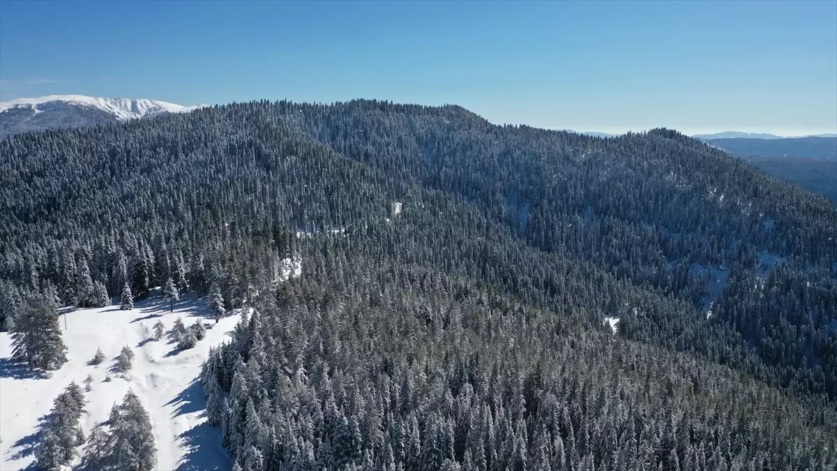 Ilgaz Dağı\'nda Kar Manzarası