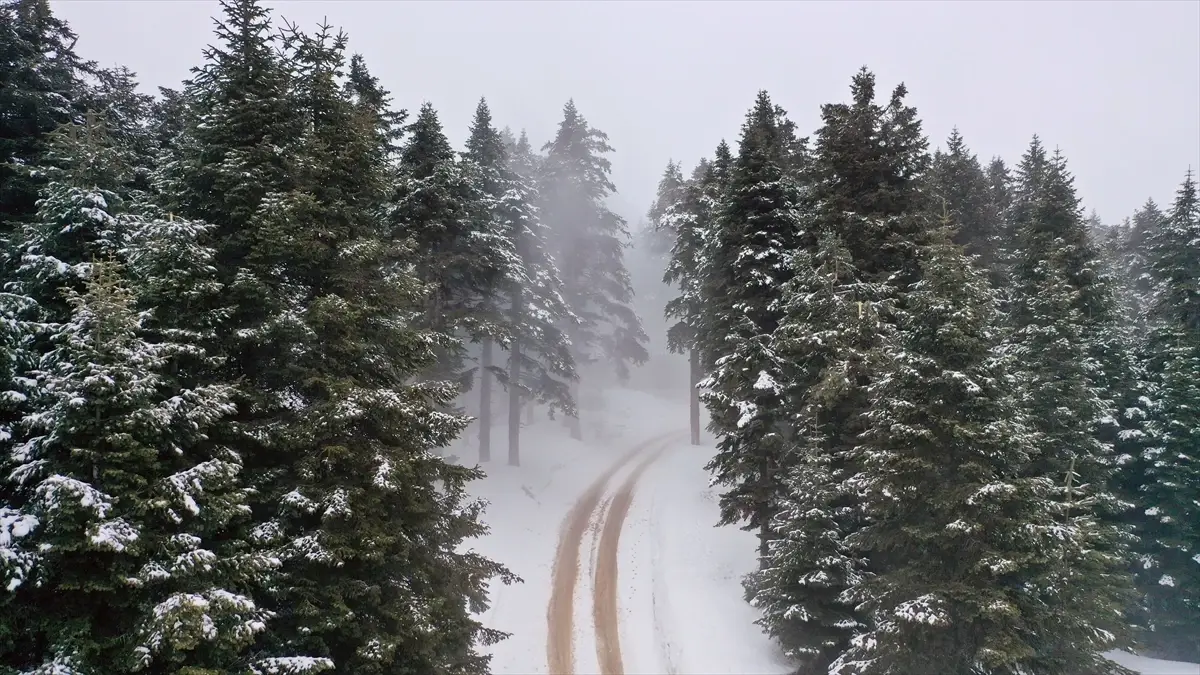 Kastamonu\'da Sis Etkili Oldu