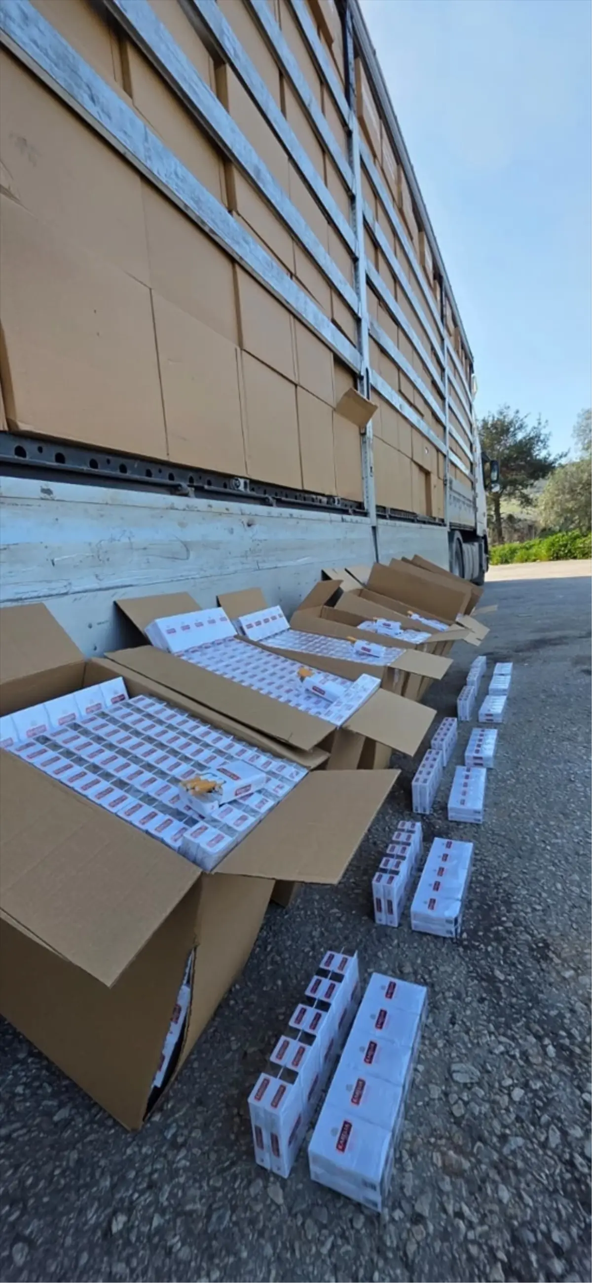 İzmir\'de 500 Bin Paket Kaçak Sigara Ele Geçirildi