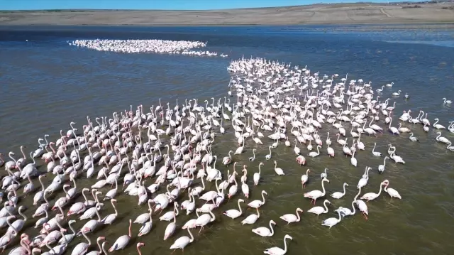 Jandarma, Gelingüllü Barajı'nda 24 saat mesaide