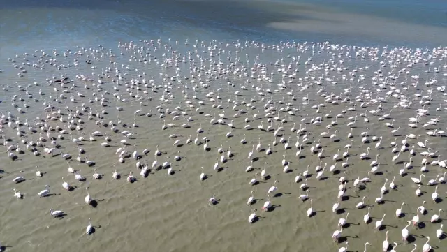 Jandarma, Gelingüllü Barajı'nda 24 saat mesaide