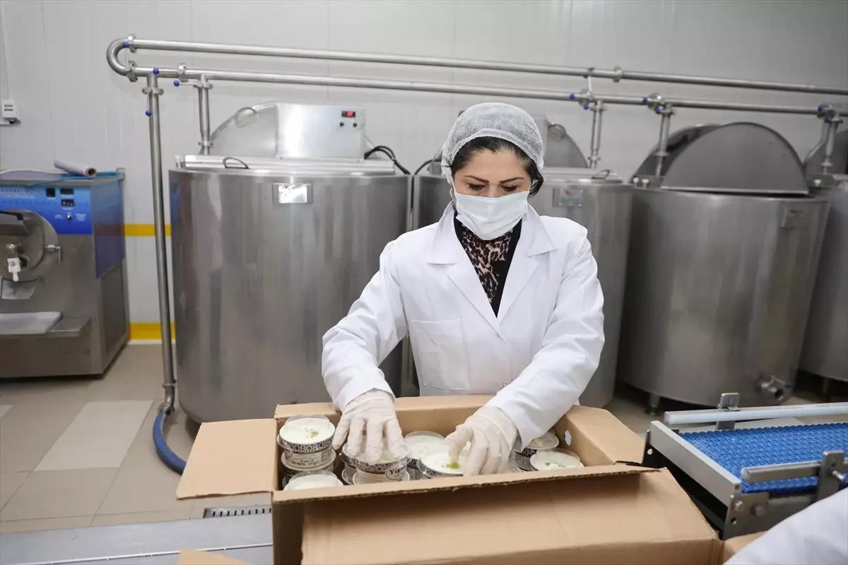 Denizli\'den Dondurma Markası Yükseliyor