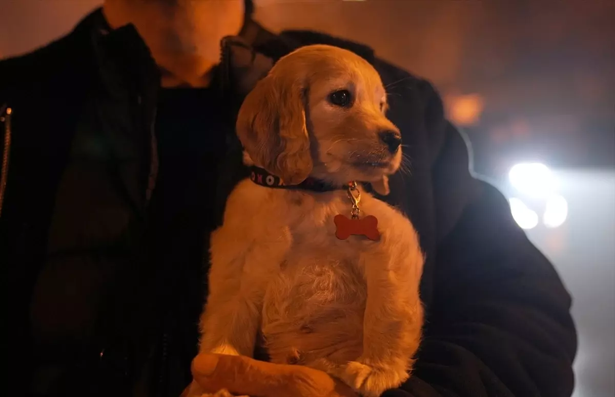 Kağıthane\'de Yangın: 11 Kişi Kurtarıldı