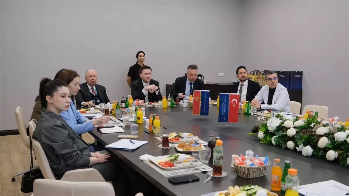 Karadağ Sağlık Bakanı Türkiye\'de