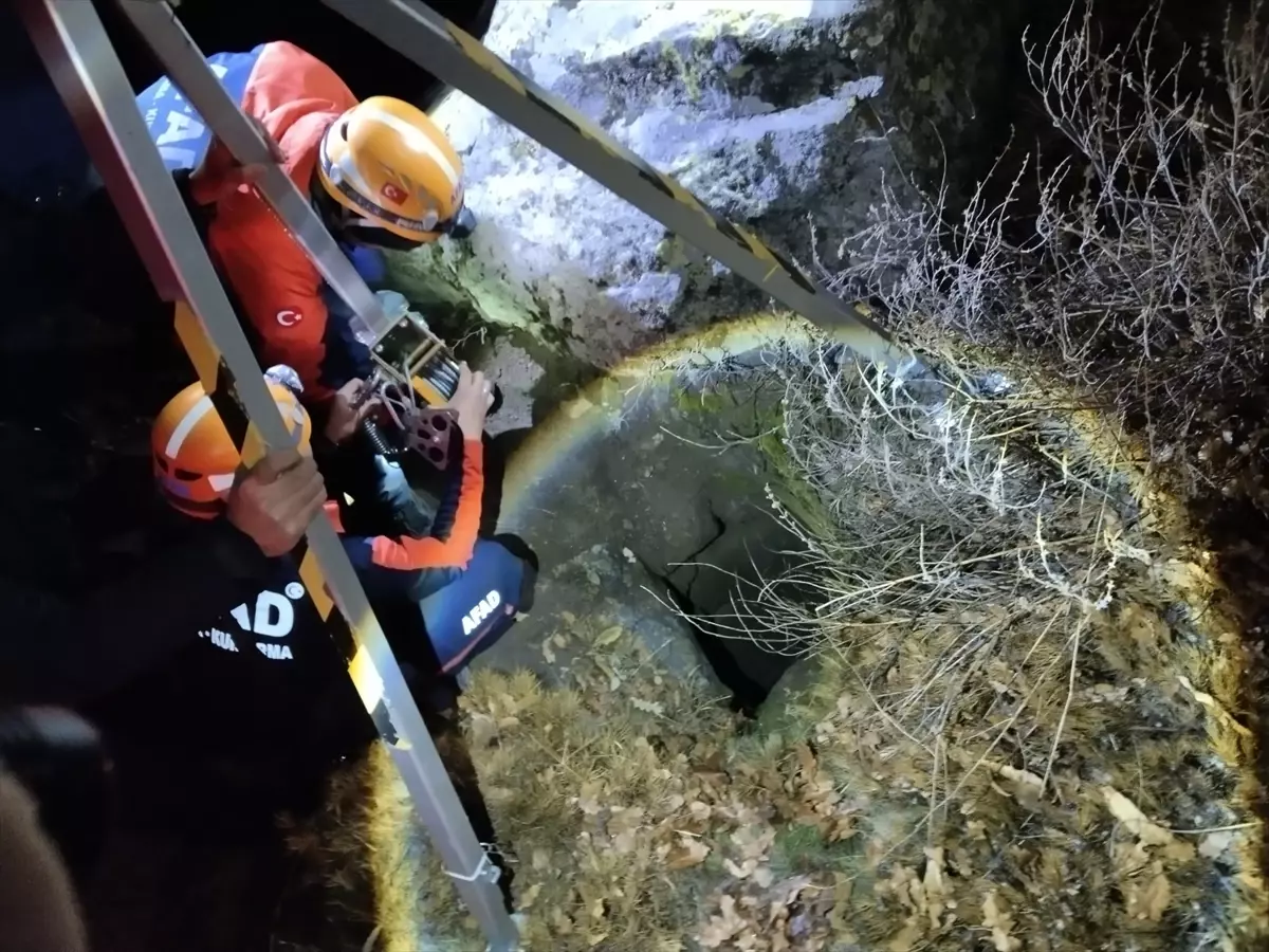 Define Ararken Mahsur Kaldılar