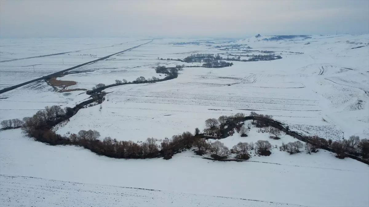Kars\'taki Menderesler Karda Beyaza Büründü