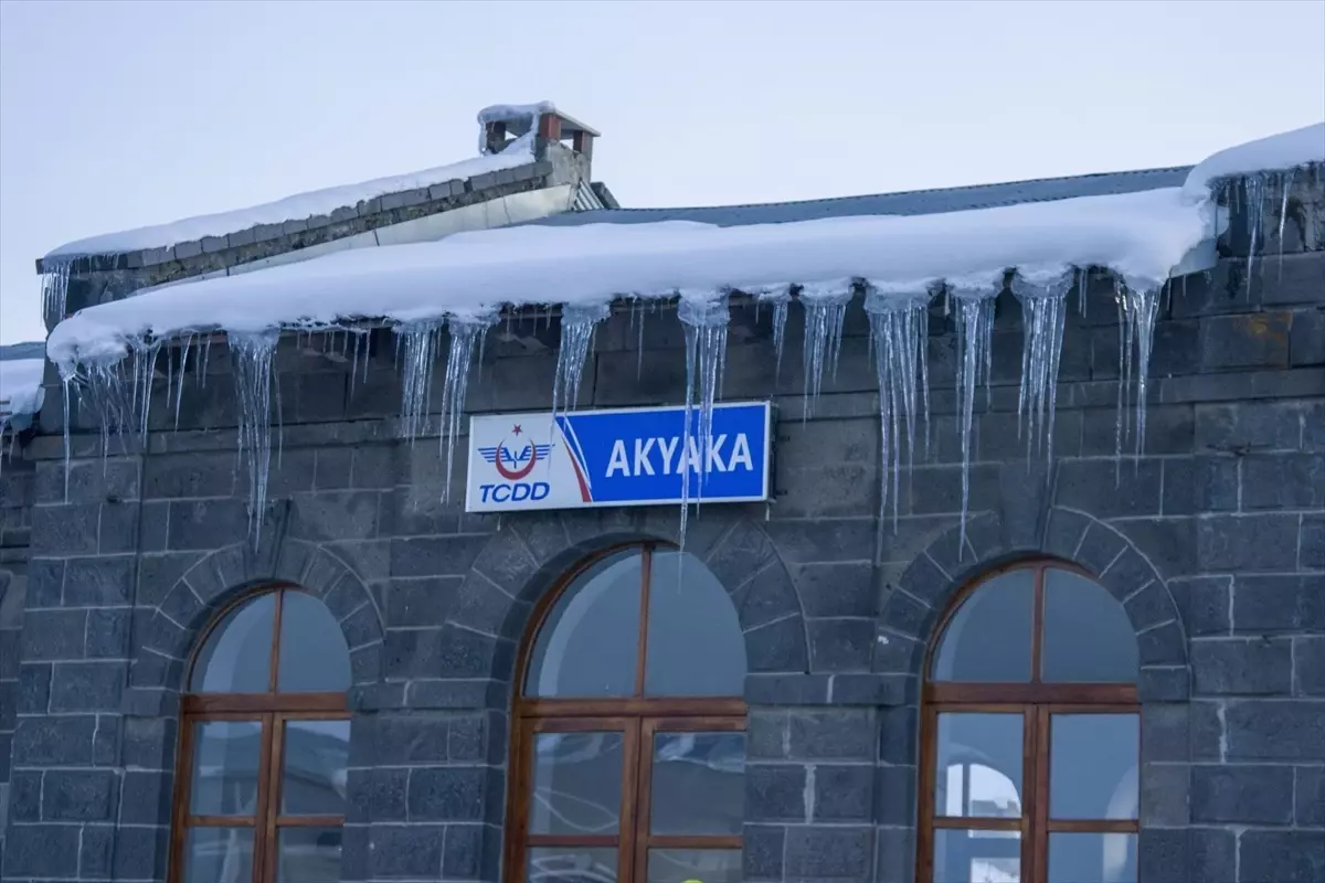 Kars\'ta Dondurucu Soğuklar Etkili