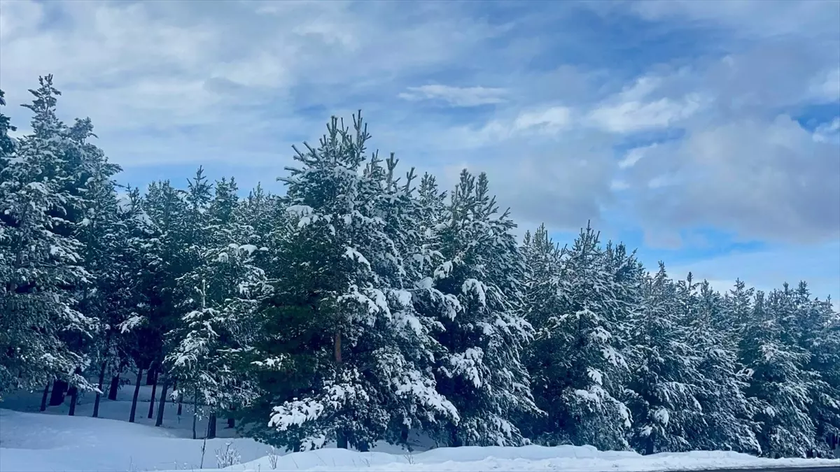 Kars ve Ardahan\'da Karla Mücadele Devam Ediyor