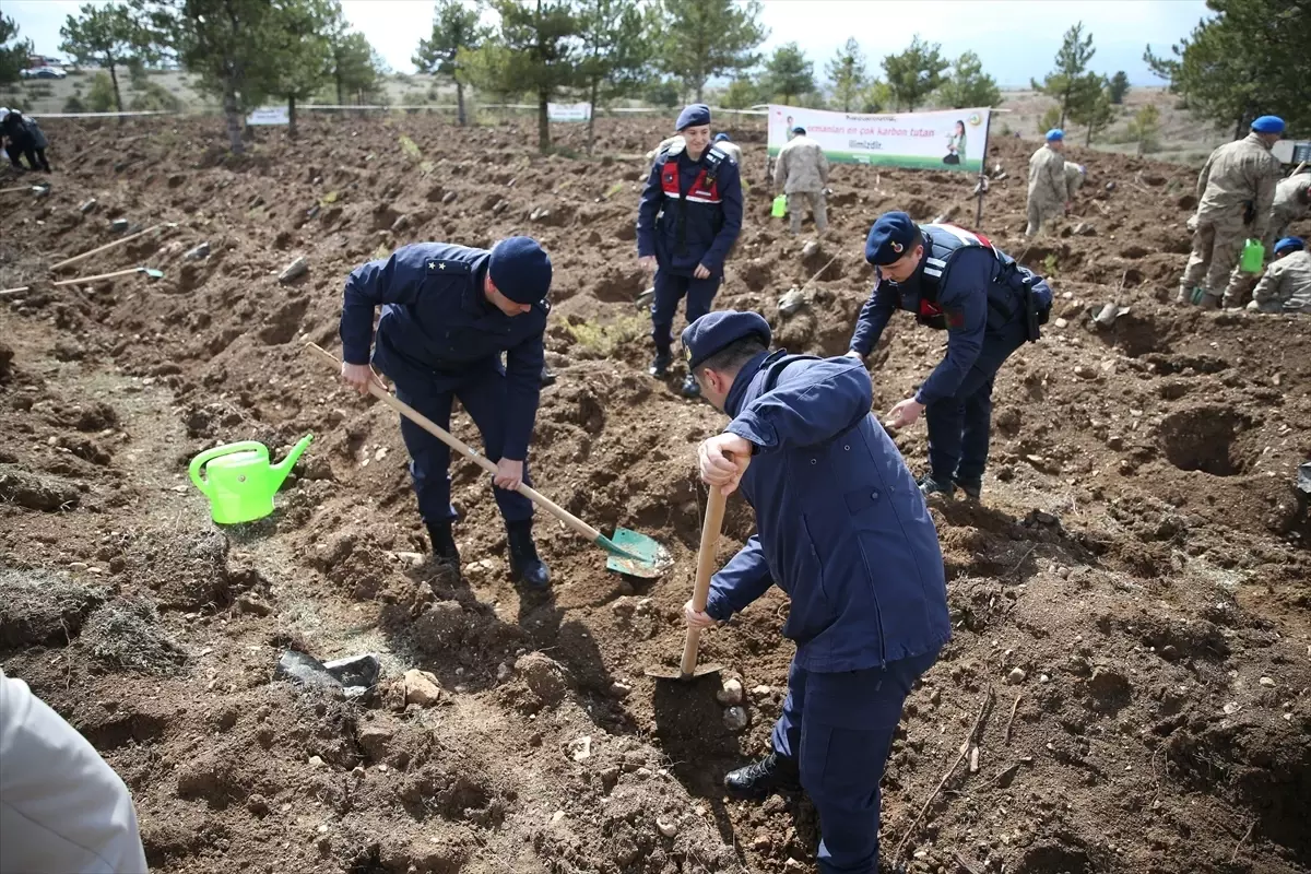 Kastamonu\'da Fidan Dikimi Etkinliği