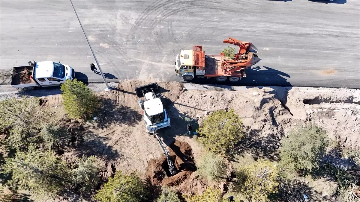 Kayseri\'de Ağaçlar Koruma Altında