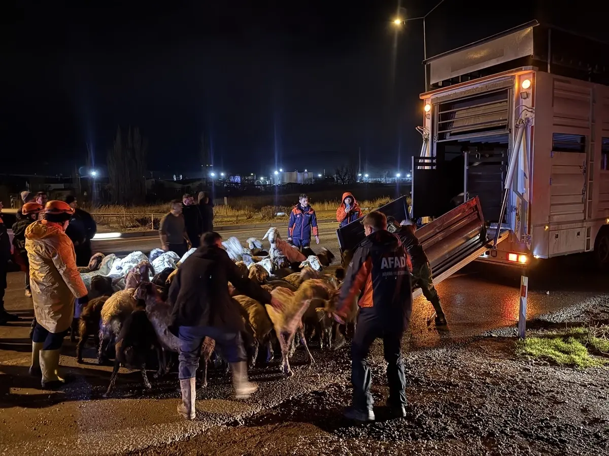 Kayseri\'de Taşkın Riski: 200 Hayvan Tahliye Edildi