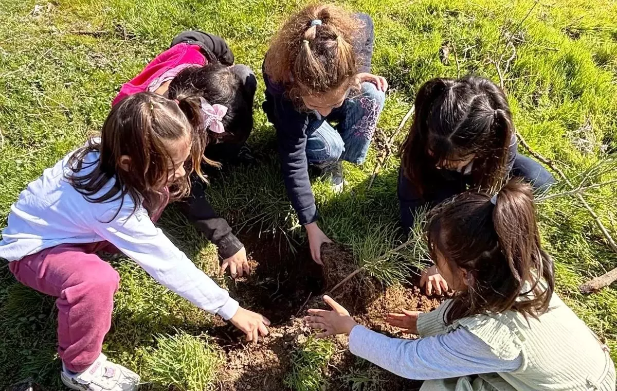 Öğrenciler Fidan Dikerek Orman Haftası\'nı Kutladı