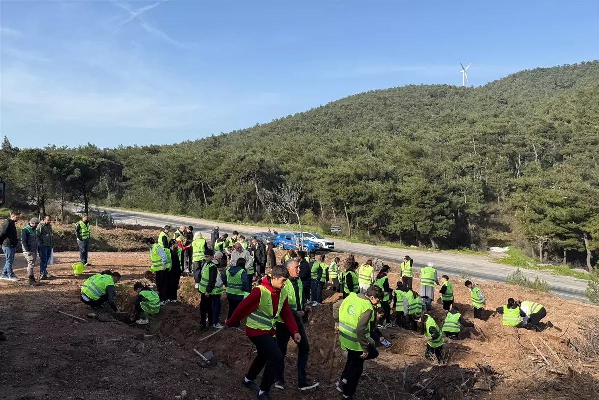 Kemalpaşa\'da 200 Fidan Dikildi