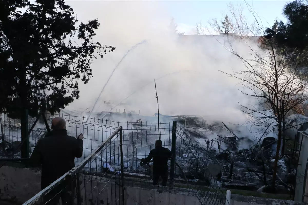 Kilis\'te Yangında Mahsur Kalan 6 Yavru Köpek Kurtarıldı