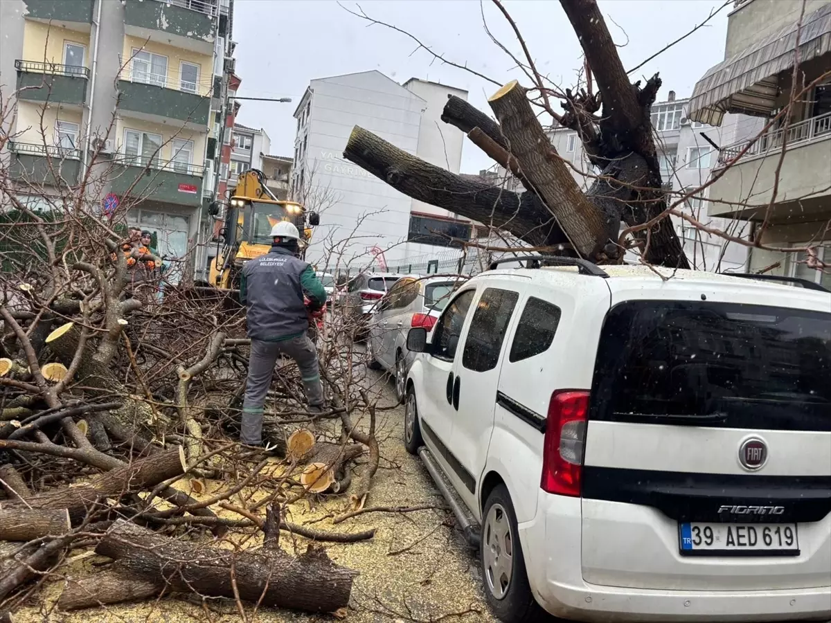 Lüleburgaz\'da Fırtına Ağaç Devirip Araç Hasarına Neden Oldu