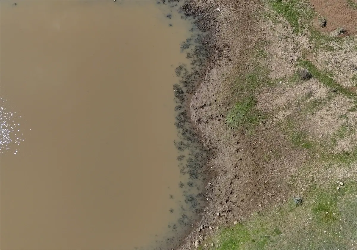 Taşlık Göleti\'nde Su Seviyesi Arttı