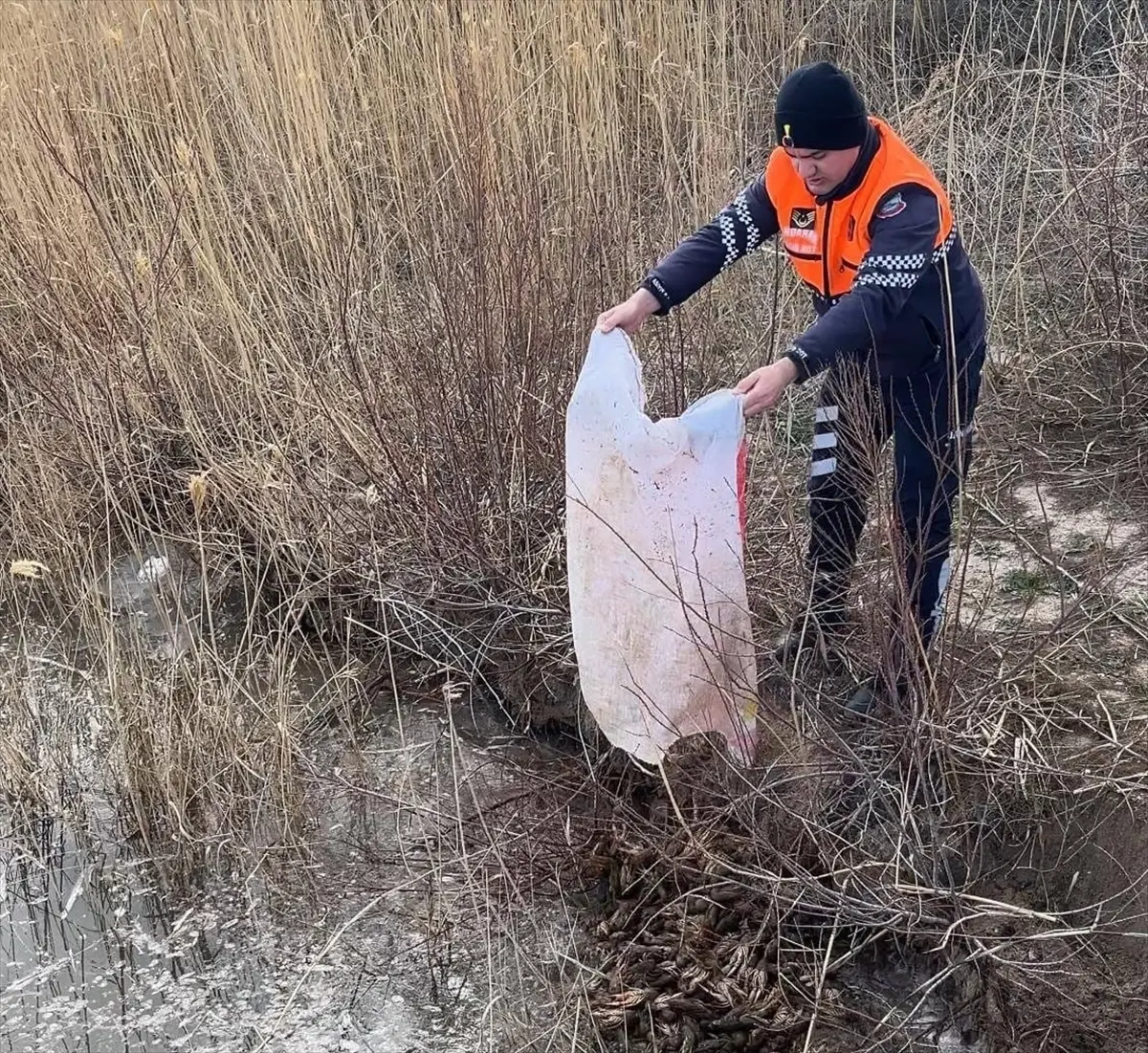 Kırşehir\'de Kaçak Balık Avcılığına Düşen Yakalandı