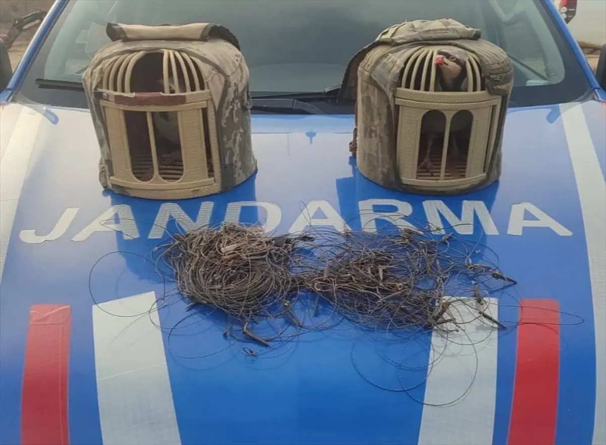 Kırşehir\'de Tuzakla Keklik Avına Operasyon