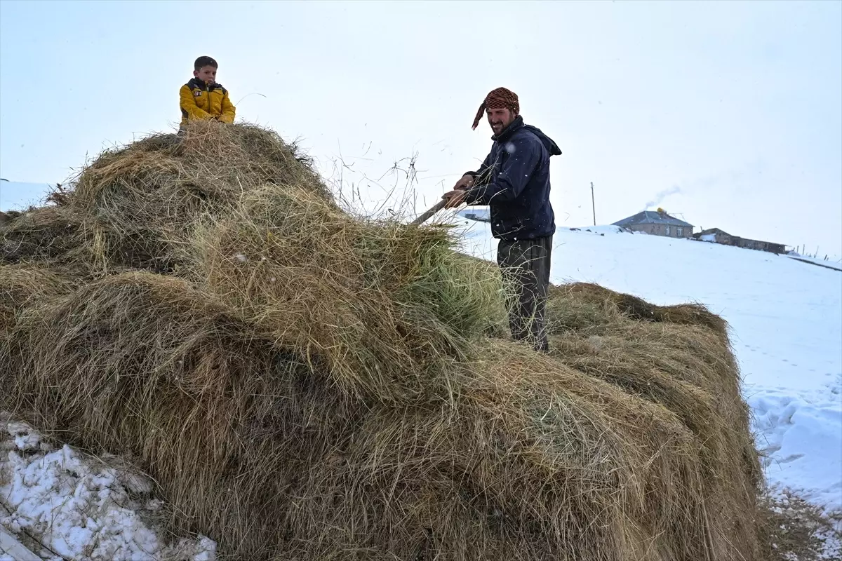Kışın Zorluklarına Rağmen Hayvancılığı Sürdürüyorlar
