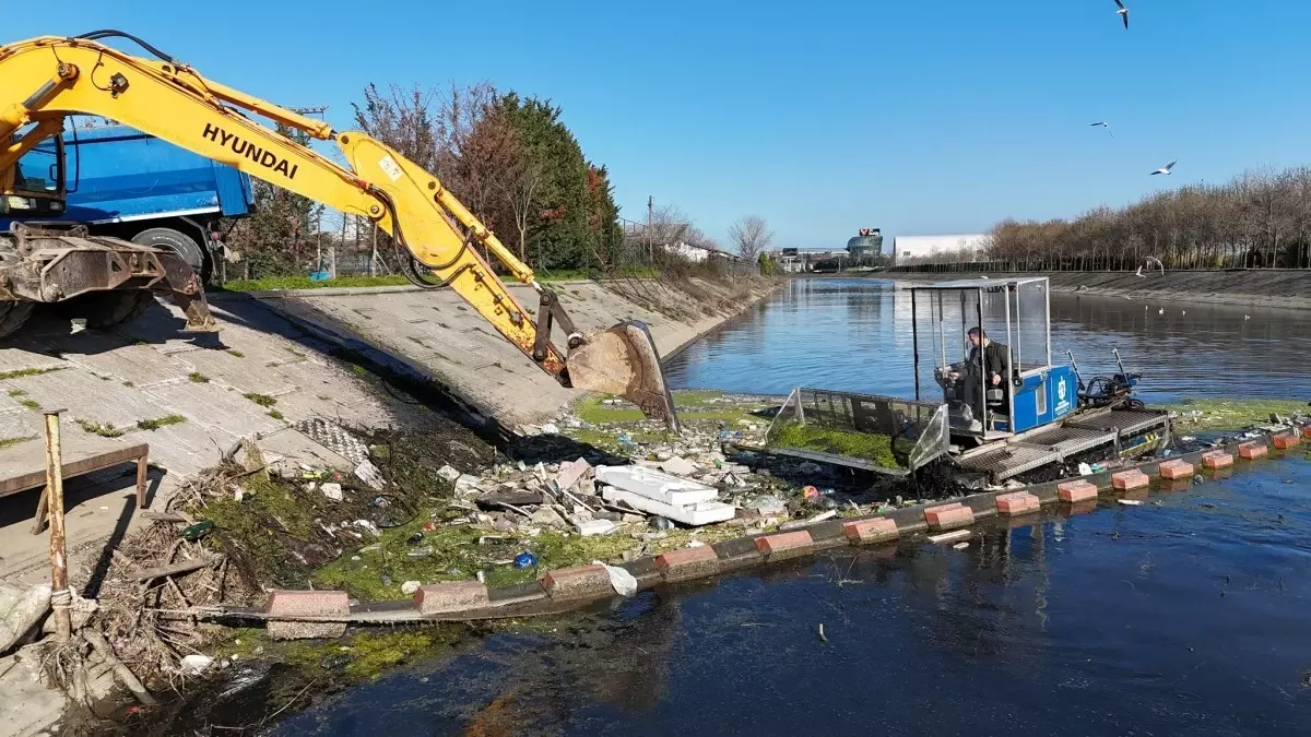 Kocaeli\'de Deniz Temizliği
