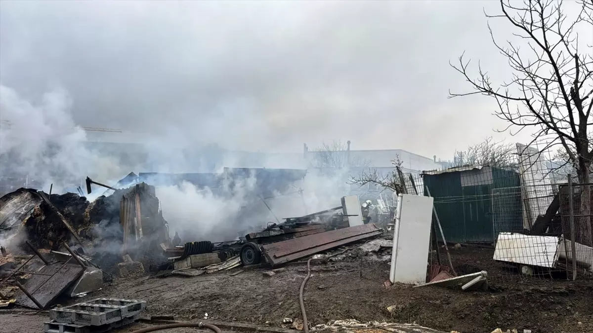 Dilovası\'nda Ahır Yangını: 50 Küçükbaş Hayvan Yok Oldu