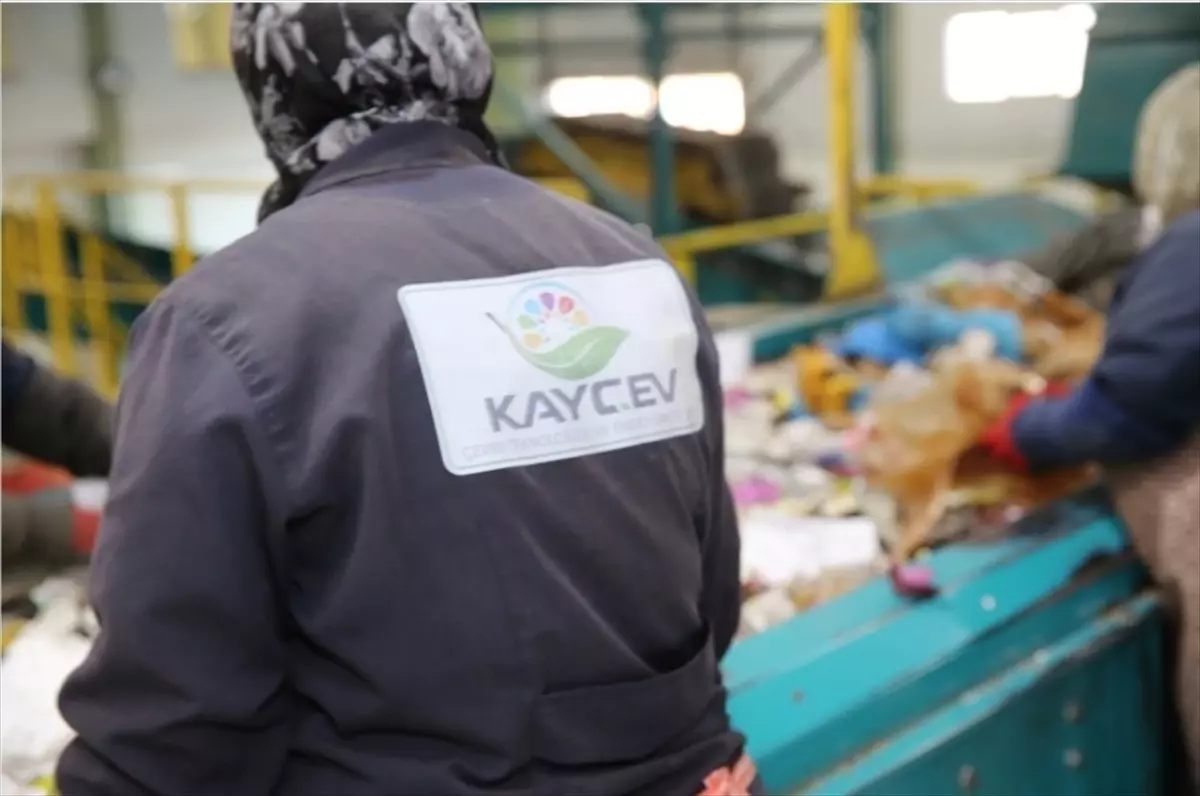 Kocasinan\'da 889 Bin Ağaç Kurtarıldı