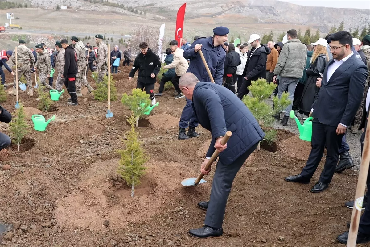 Konya\'da 10 Bin Fidan Dikildi