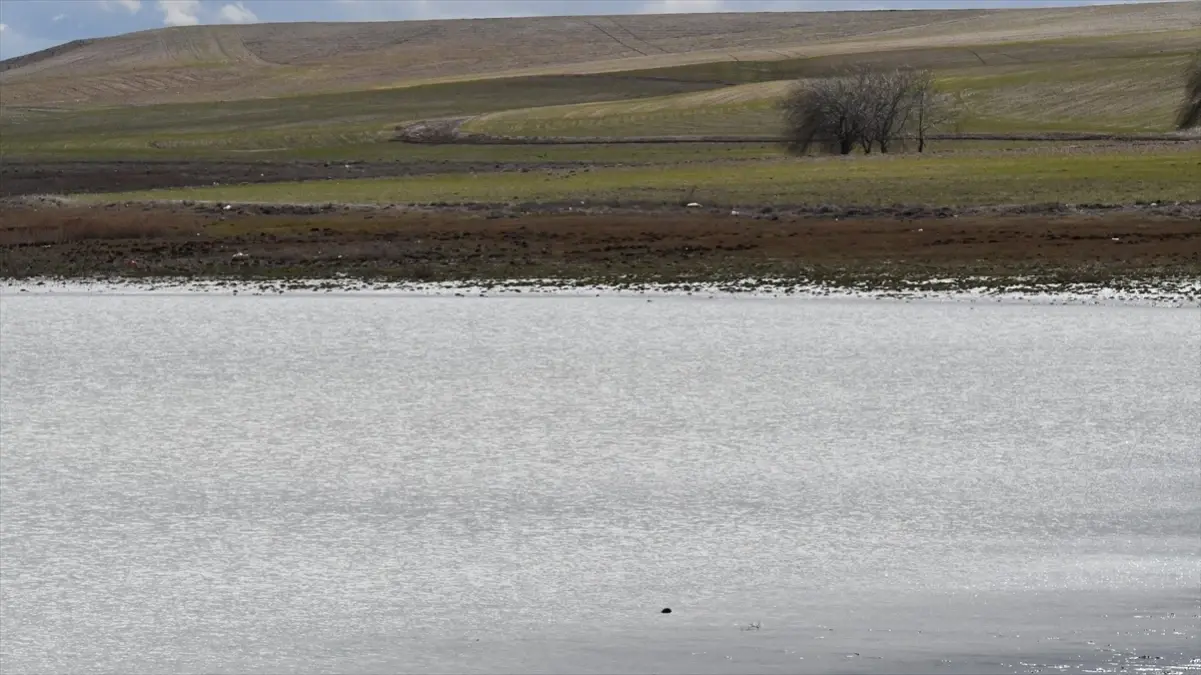 Kuruyan göl 4 yıl aradan sonra su tutmaya başladı
