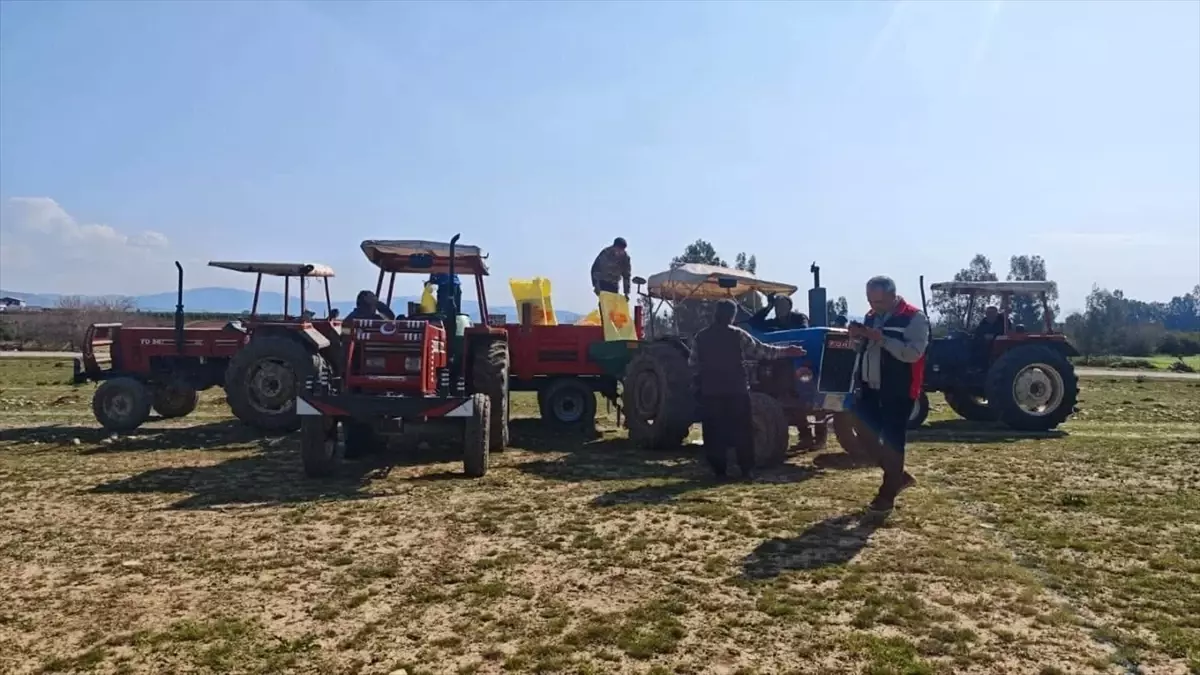 Kozan\'da 913 Dekar Mera Gübreleme Çalışması