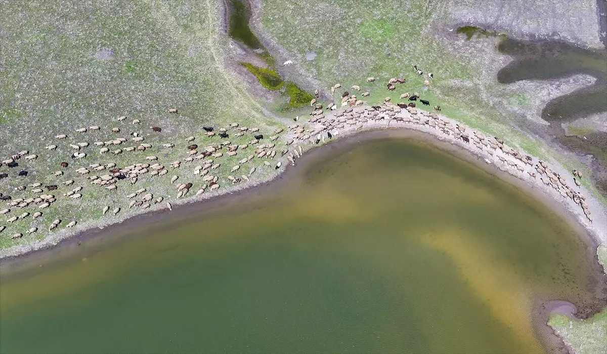 Devegeçidi Baraj Gölü Suya Kavuştu