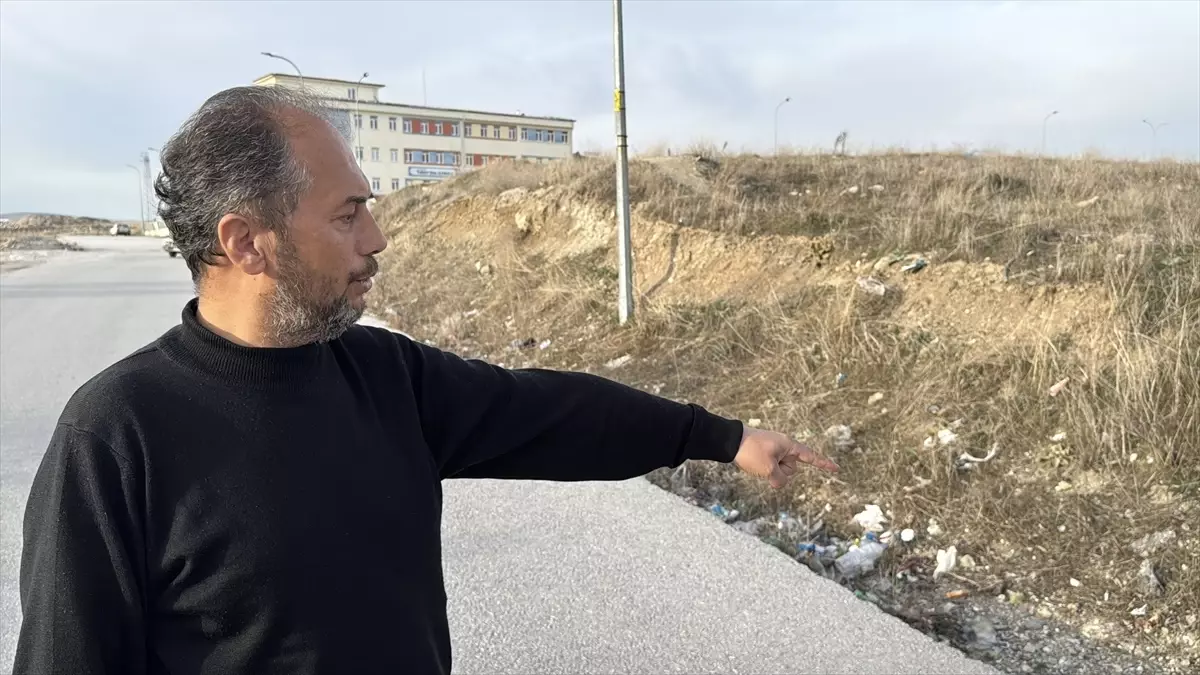 Kütahya\'da Çocuğa Sahipsiz Köpek Saldırısı