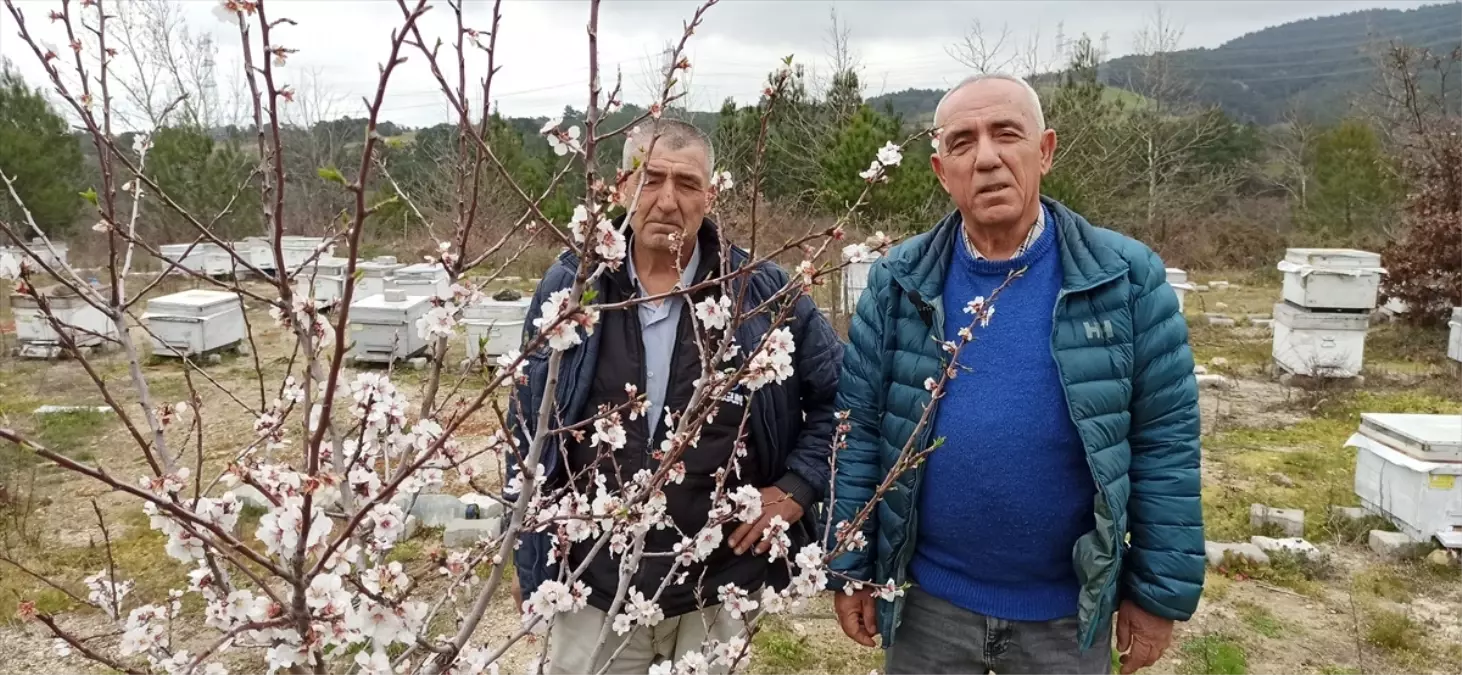 Arıcılar Birliği\'nden İlaçlama Uyarısı