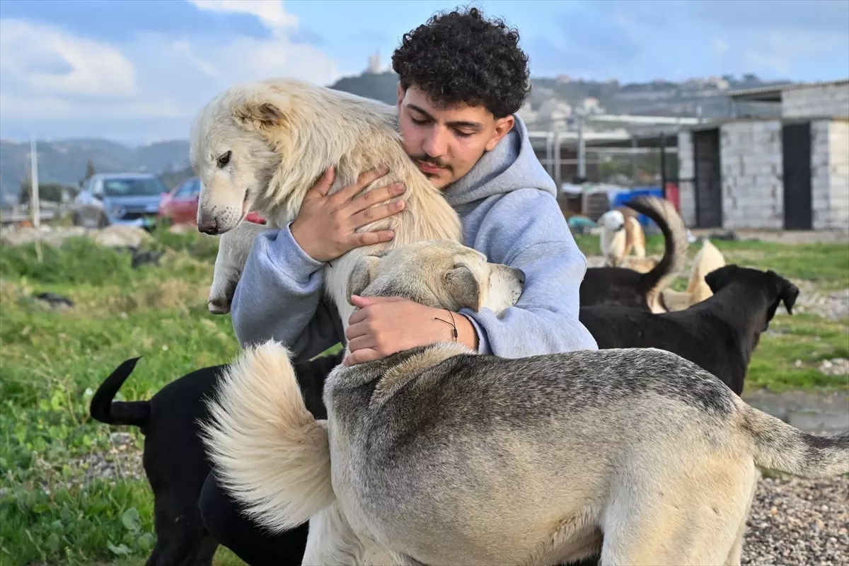 Hayvanları Kurtaran Kahraman