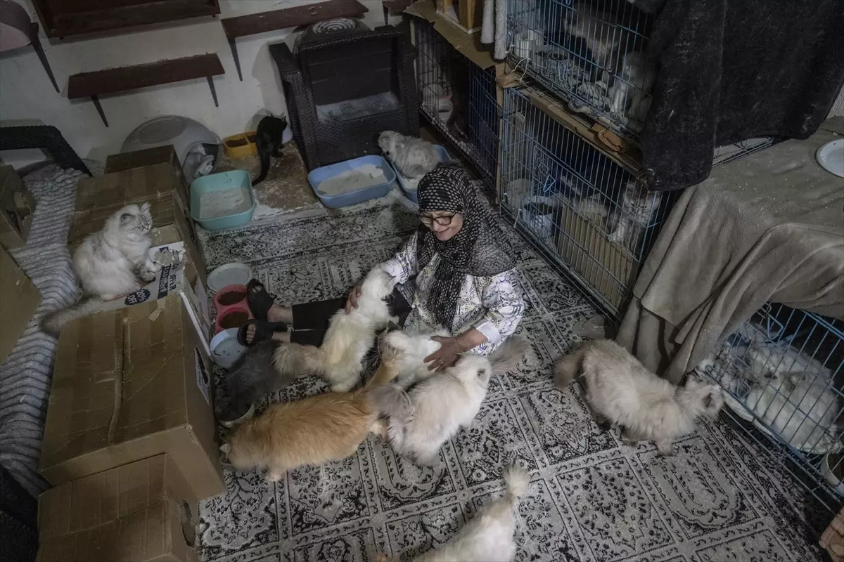 Kedileri İçin Savaştı