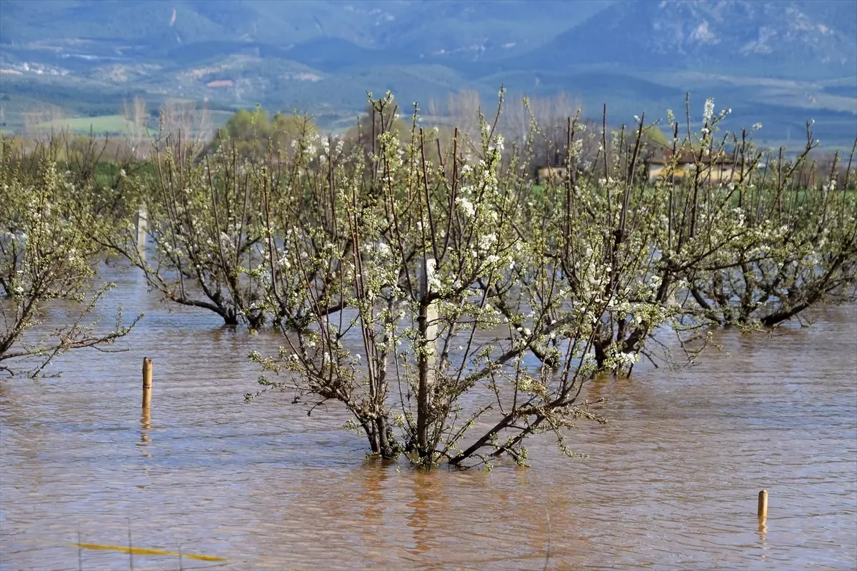 Manisa\'da Sel ve Fırtına Sonrası Hasar Tespit Çalışmaları
