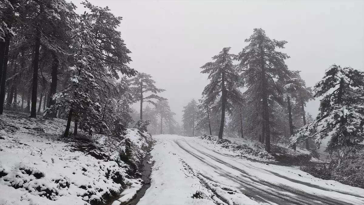 Demirci\'de kar yağışı etkili oldu