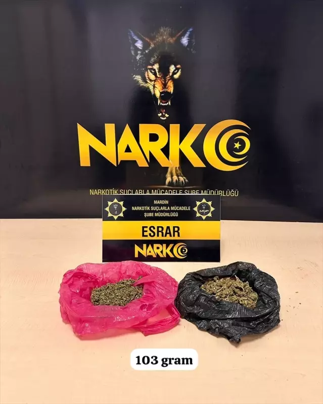 Mardin’de Uyuşturucu Operasyonu: 2 Gözaltı