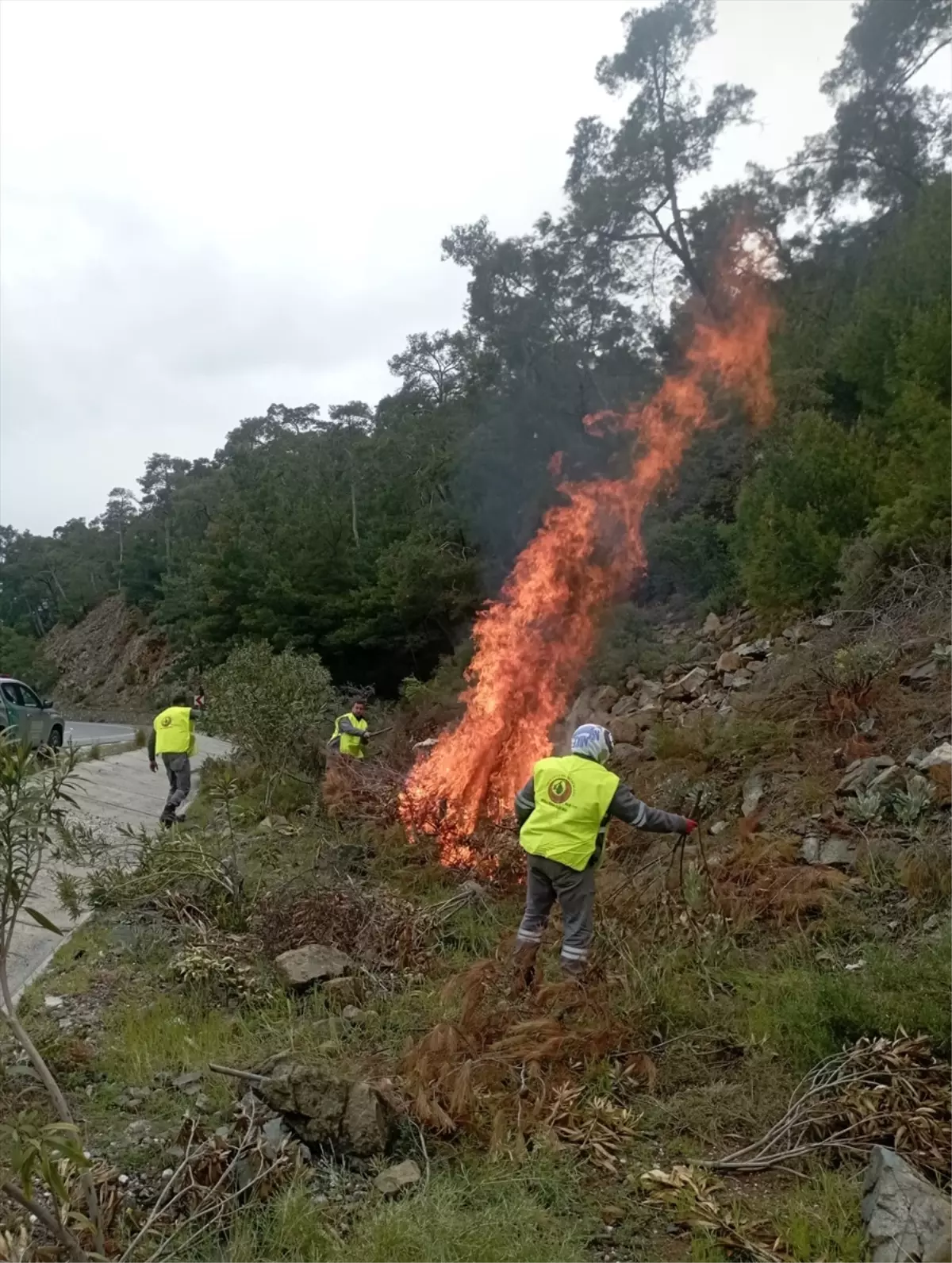 Marmaris\'te Orman Yangını Önlemleri