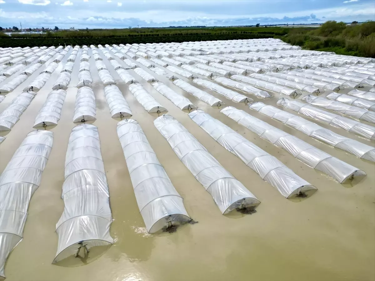 Tarsus\'ta Sağanak Tarım Arazilerini Vurdu