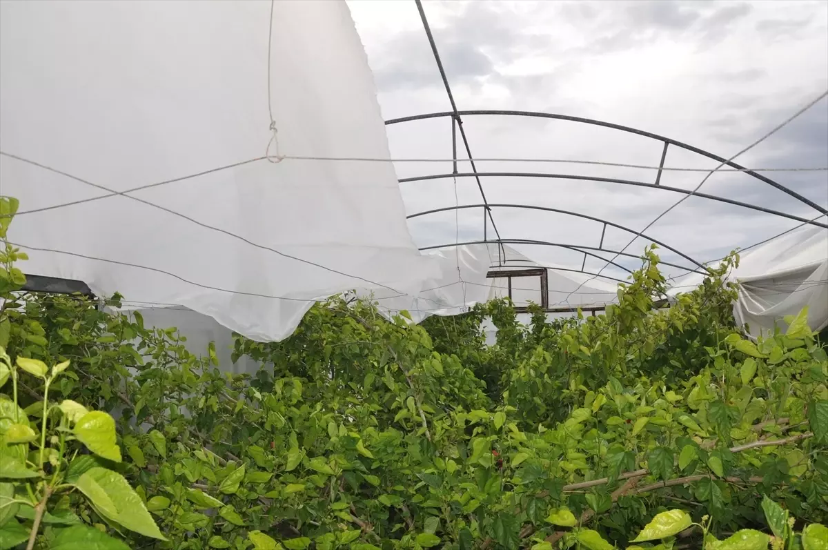 Silifke\'de Rüzgar ve Dolu Seralara Zarar Verdi