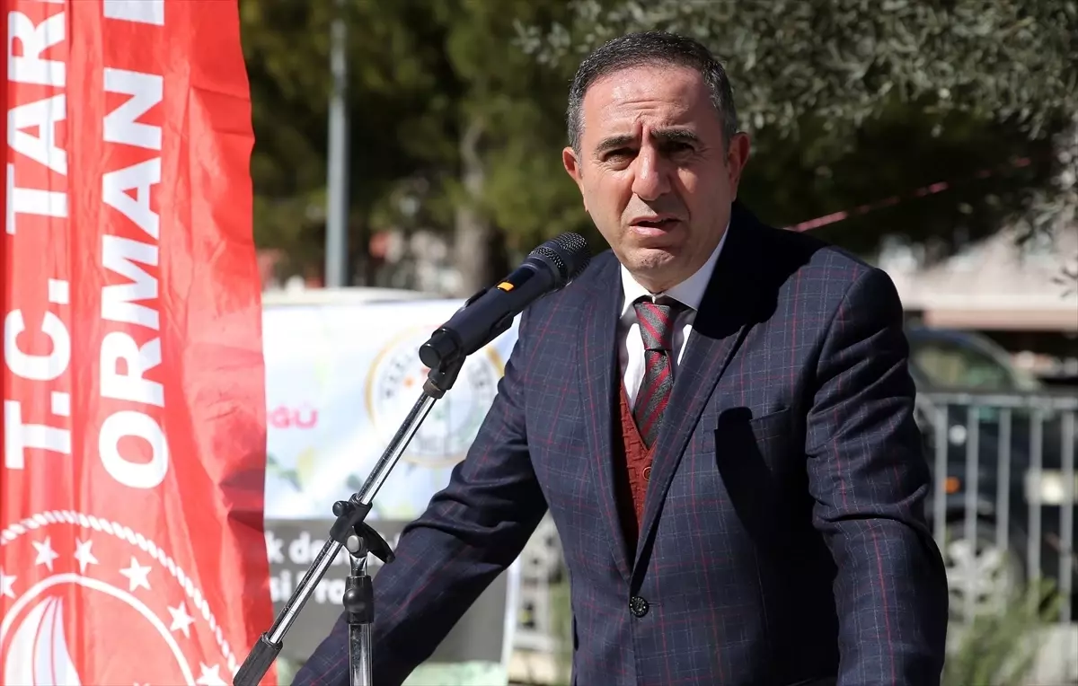 Muğla\'da Üzümsü Meyve Üretimi Artıyor