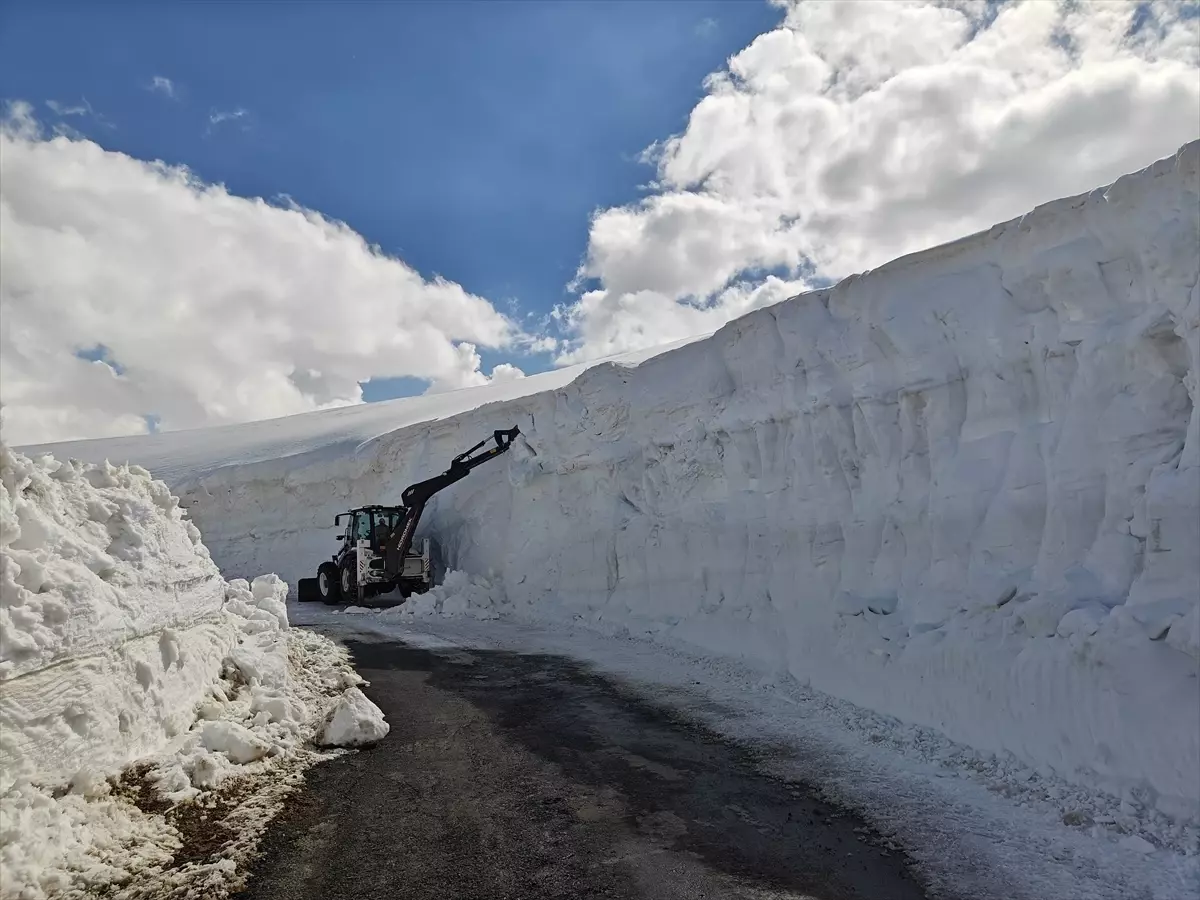Muş\'ta Karla Mücadele Devam Ediyor