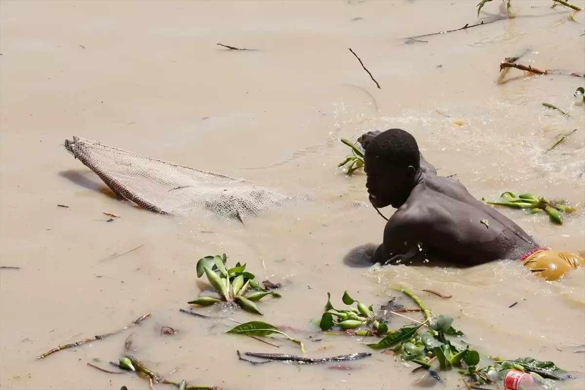 Argungu Festivali\'nde Balıkçılık Coşkusu