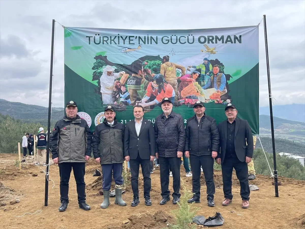 Niksar\'da Orman Haftası Fidan Dikimi