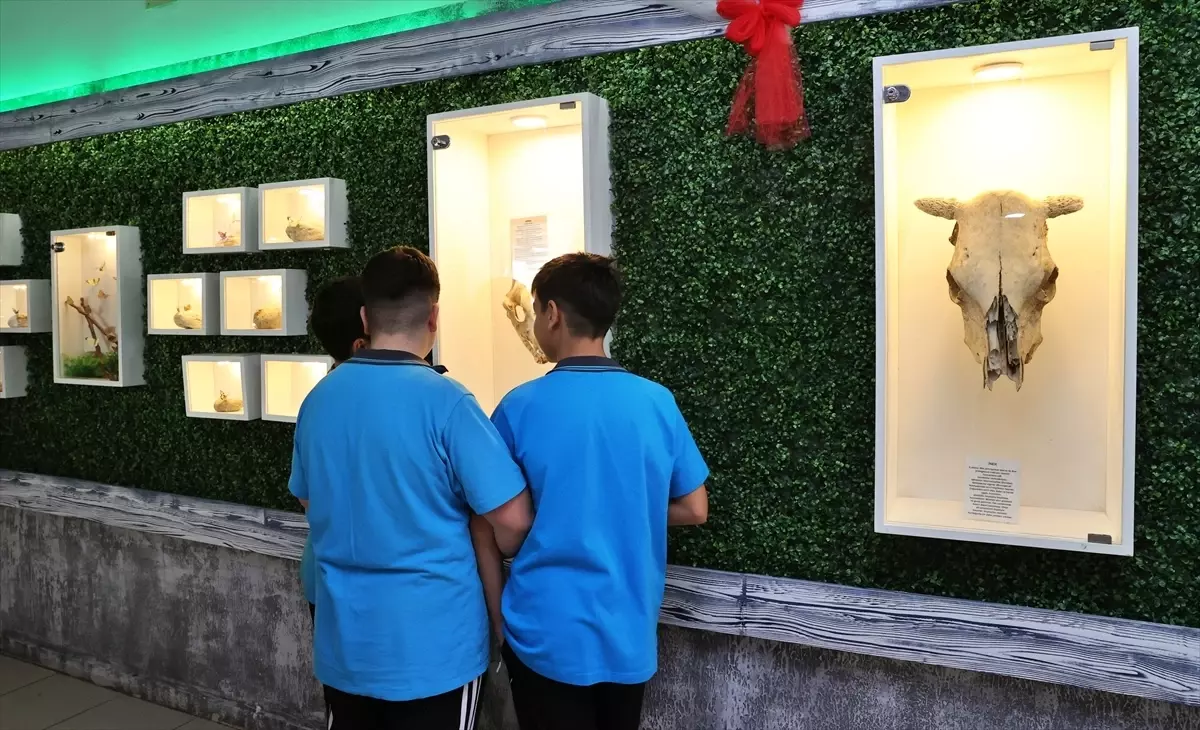 Samsun\'da Doğa Müzesi Açıldı