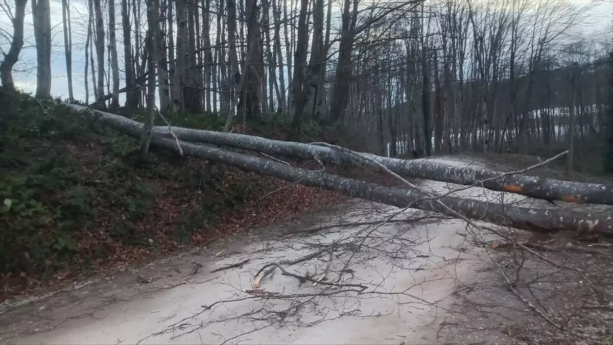 Ordu\'da Fırtına 11 Evin Çatısını Uçurdu